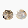 Mother of Pearl Buttons X-SSHEL-R048-021-2