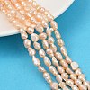Natural Cultured Freshwater Pearl Beads Strands PEAR-P064-20H-02B-1