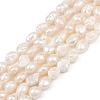 Natural Cultured Freshwater Pearl Beads Strands PEAR-P064-20H-01A-2