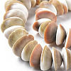 Natural Shell Beads Strands SSHEL-N034-101-3