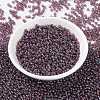 MIYUKI Round Rocailles Beads SEED-JP0009-RR0302-2