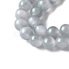 Natural Selenite Beads Strands G-C142-01A-13-3