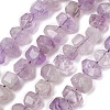 Natural Amethyst Nuggets Bead Strands G-P082-15-2