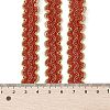 12M Metallic Polyester Braided Lace Trim Ribbons OCOR-WH0060-73C-3