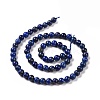 Natural Lapis Lazuli Beads Strands G-P348-01-6mm-2