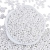 Baking Paint Glass Seed Beads SEED-K010-A03-3