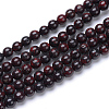 Natural Bloodstone Beads Strands G-R412-06-12MM-1