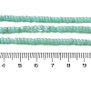 Natural Freshwater Shell Beads Strands SHEL-P017-01B-08-4