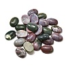 Natural Indian Agate Gemstone Cabochons G-T020-18x25mm-27-1