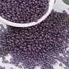 MIYUKI Round Rocailles Beads X-SEED-G008-RR0312-1