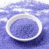 MIYUKI Round Rocailles Beads SEED-JP0010-RR0417L-2