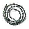 Natural Seraphinite Beads Strands G-A021-07B-3