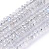 Natural Labradorite Beads Strands G-E560-R06-01-1