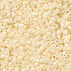 Cylinder Seed Beads SEED-H001-H23-2