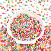 6/0 Opaque Colours Glass Seed Beads SEED-N007-18B-2