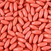 Opaque Colours Glass Seed Beads SEED-T007-16C-2