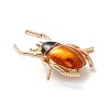 Beetle Enamel Pin JEWB-P012-10G-3