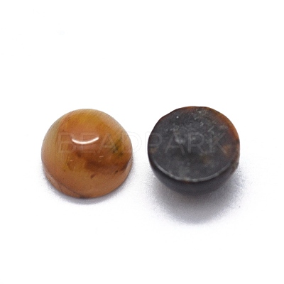 Natural Tiger Eye Cabochons G-O175-23-25-1