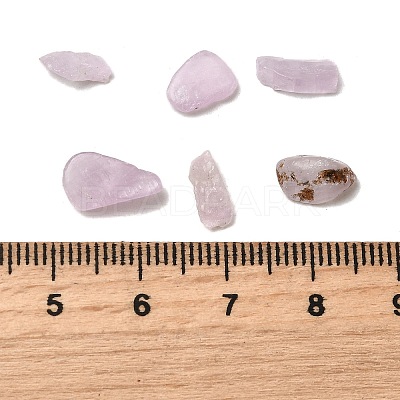 Natural Kunzite Beads G-Z099-A01-1