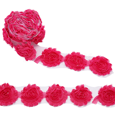 Polyester Lace Ribbons OCOR-WH0082-213B-1