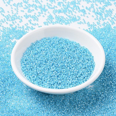 MIYUKI Round Rocailles Beads X-SEED-G007-RR0647-1
