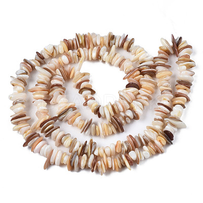 Natural Freshwater Shell Beads Strands SHEL-S278-071D-1