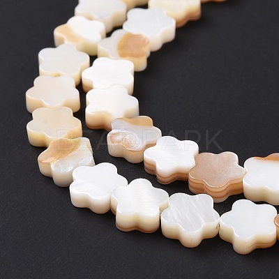 Natural Freshwater Shell Beads Strands SHEL-H002-03G-1