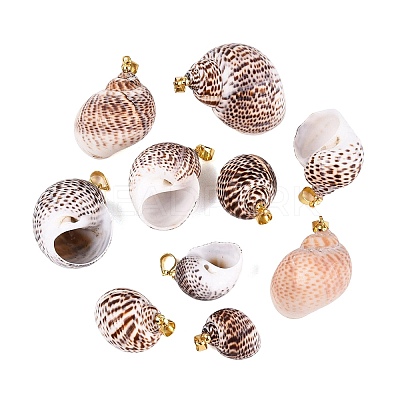 Brass & Natural Spiral Shell Pendants SHEL-Q029-27KCG-1