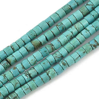 Dyed Natural Magnesite Beads Strands G-M448-C01-01-1