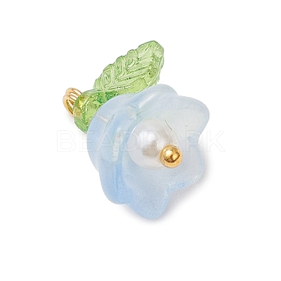Glass Charms PALLOY-MZ00838-03-1