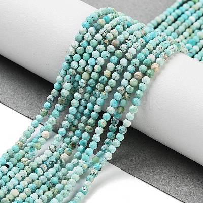 Natural HuBei Turquoise Beads Strands G-G792-38-01-1