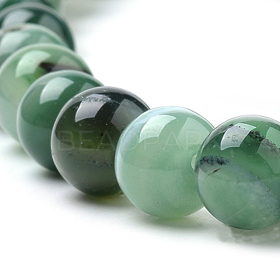 Natural Striped Agate/Banded Agate Beads Strands G-S259-04E-10mm-1