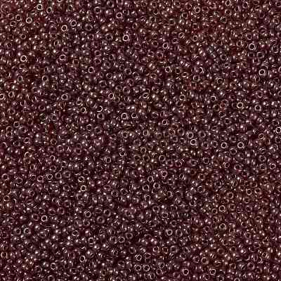 MIYUKI Round Rocailles Beads SEED-X0055-RR0309-1