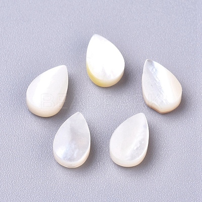 Natural Sea Shell Beads SSHEL-R038-20-1
