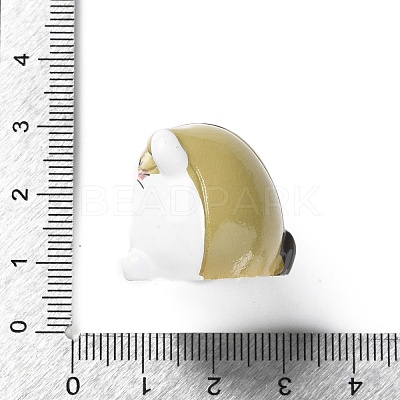 Resin Hamster Display Decoration AJEW-S037-06-04-1