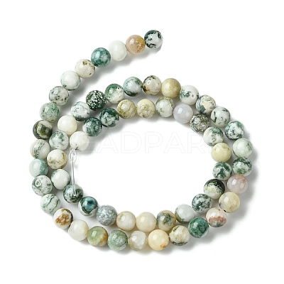 Natural Tree Agate Beads Strands G-K194-6mm-02-1