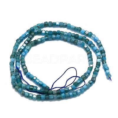 Natural Apatite Beads Strands G-P457-B01-14-1