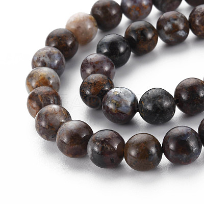 Natural Pietersite Beads Strands G-R446-10mm-13-1