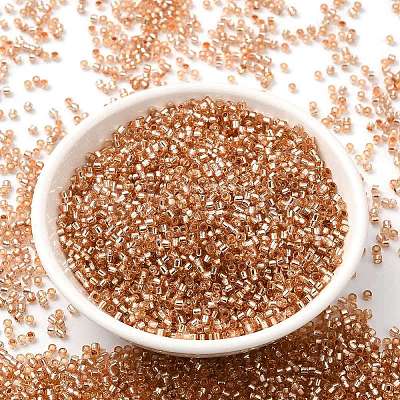 Glass Seed Beads SEED-S042-04B-17-1