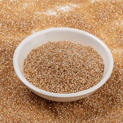 MIYUKI Round Rocailles Beads X-SEED-G009-RR0580-1
