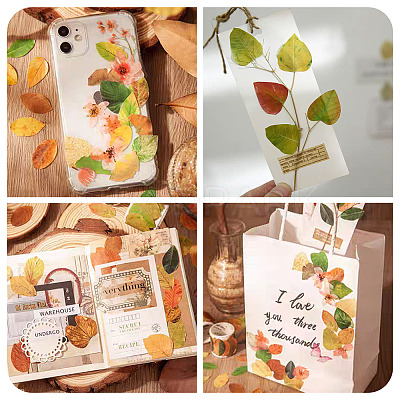 Autumn Leaf Paper Tape Stickers for Card Making DIY-TAC0032-23F-1