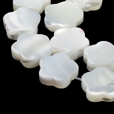 Natural Trochus Shell Beads Strands X-BSHE-P033-07-1