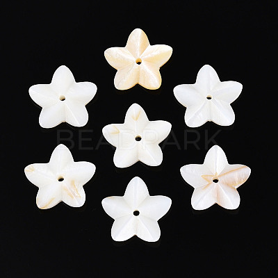 Natural Freshwater Shell Beads BSHE-T014-14-1