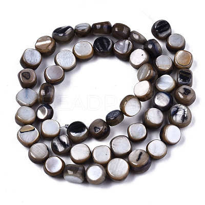 Natural Freshwater Shell Beads Strands SHEL-S276-110B-01-1