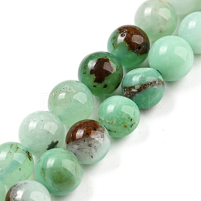 Natural Chrysoprase Beads Strands G-P503-8MM-03-1