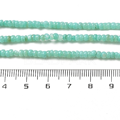 Natural Freshwater Shell Beads Strands SHEL-P017-01B-08-1