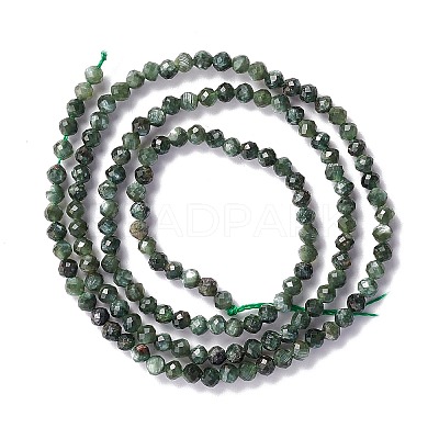 Natural Seraphinite Beads Strands G-A021-07B-1