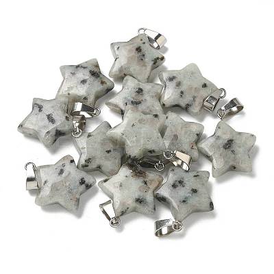 Natural Sesame Jasper Pendants G-B127-12P-11-1
