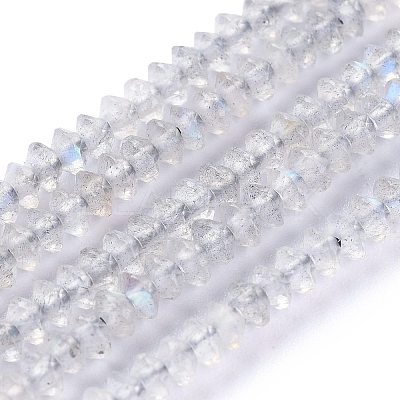 Natural Labradorite Beads Strands G-E560-R06-01-1