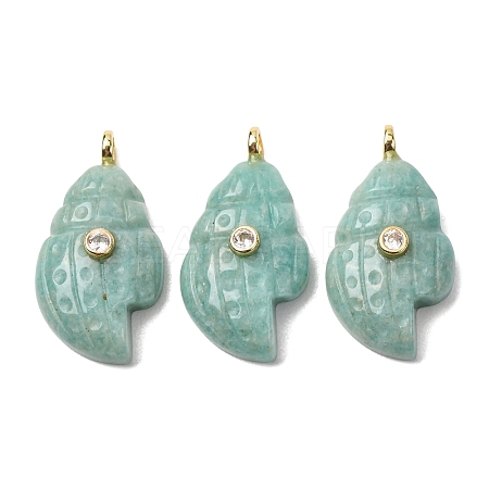Natural Amazonite Carved Pendants G-H357-05G-01-1